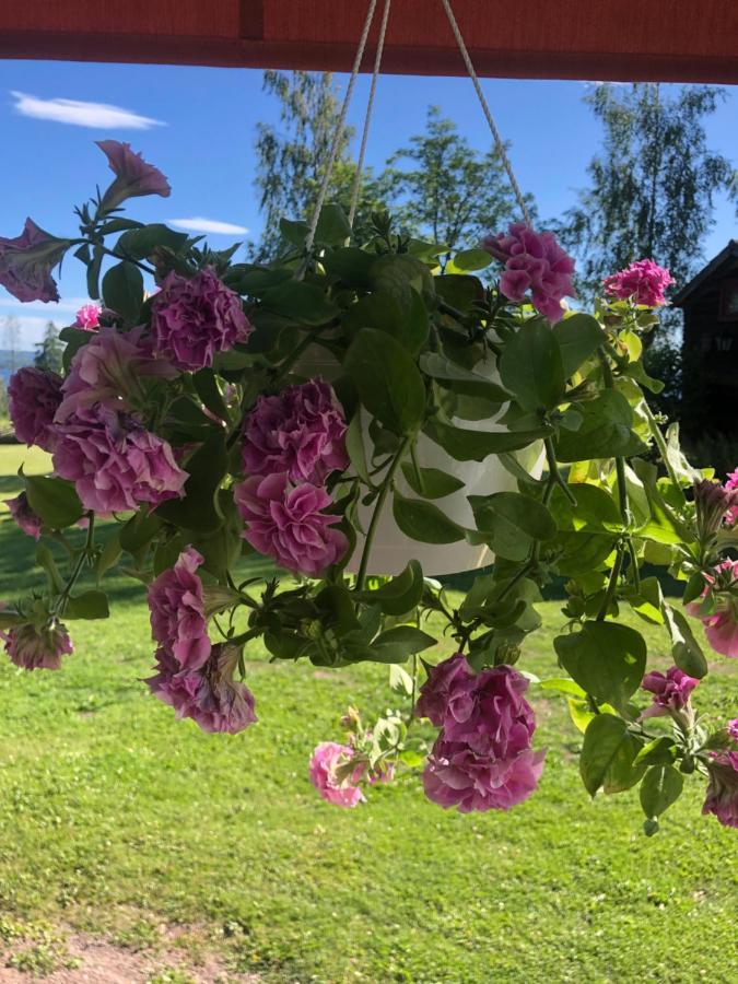 Mysigt Boende I Raettvik Med Utsikt Oever Siljan エクステリア 写真