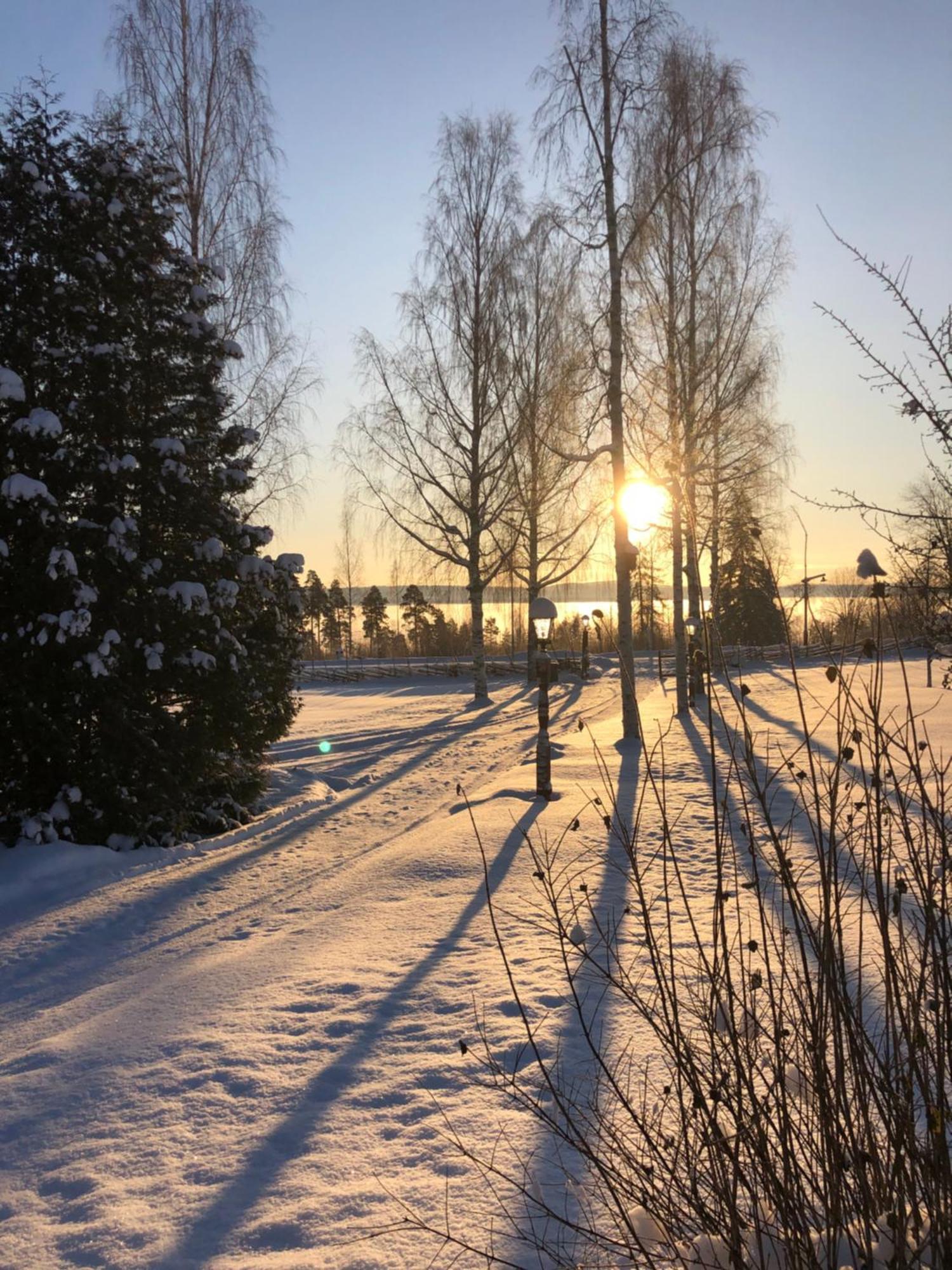Mysigt Boende I Raettvik Med Utsikt Oever Siljan エクステリア 写真