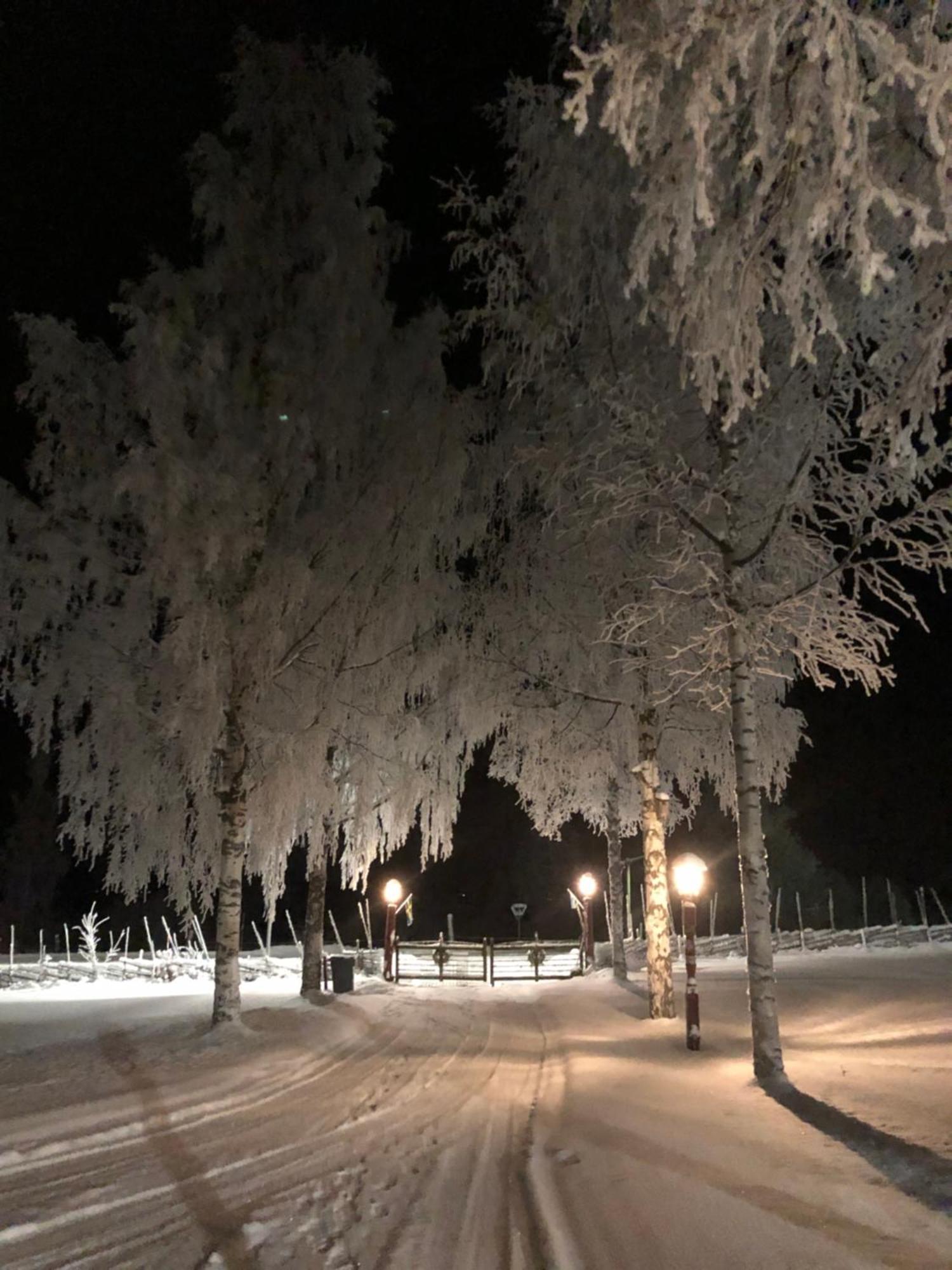 Mysigt Boende I Raettvik Med Utsikt Oever Siljan エクステリア 写真