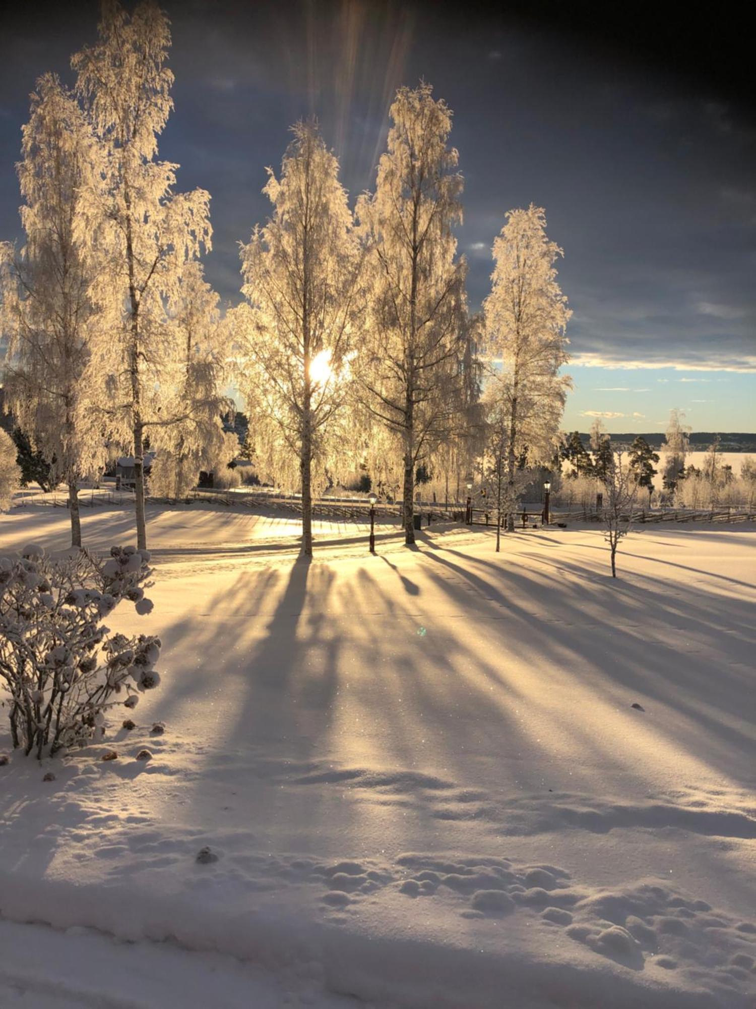 Mysigt Boende I Raettvik Med Utsikt Oever Siljan エクステリア 写真