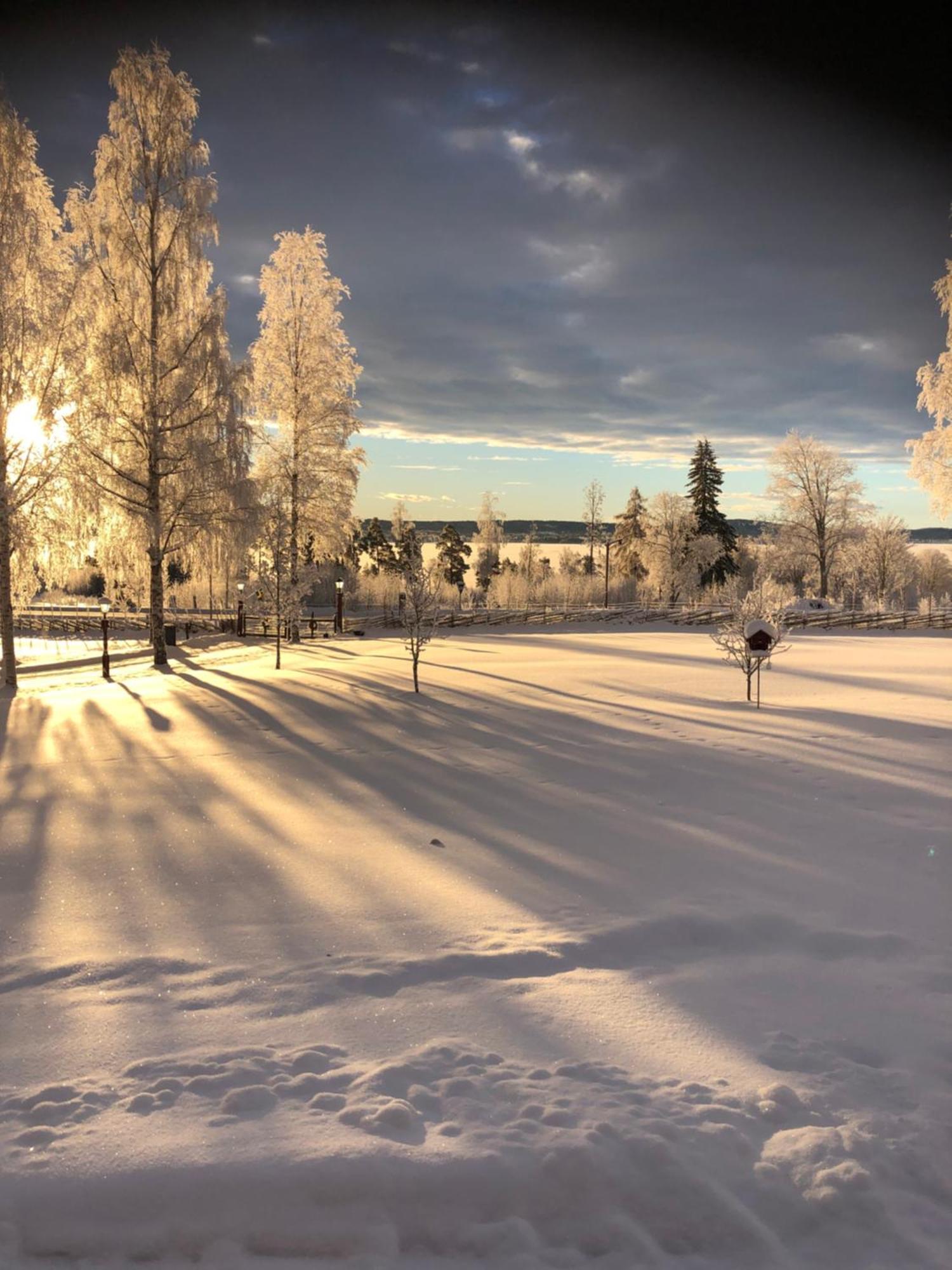 Mysigt Boende I Raettvik Med Utsikt Oever Siljan エクステリア 写真