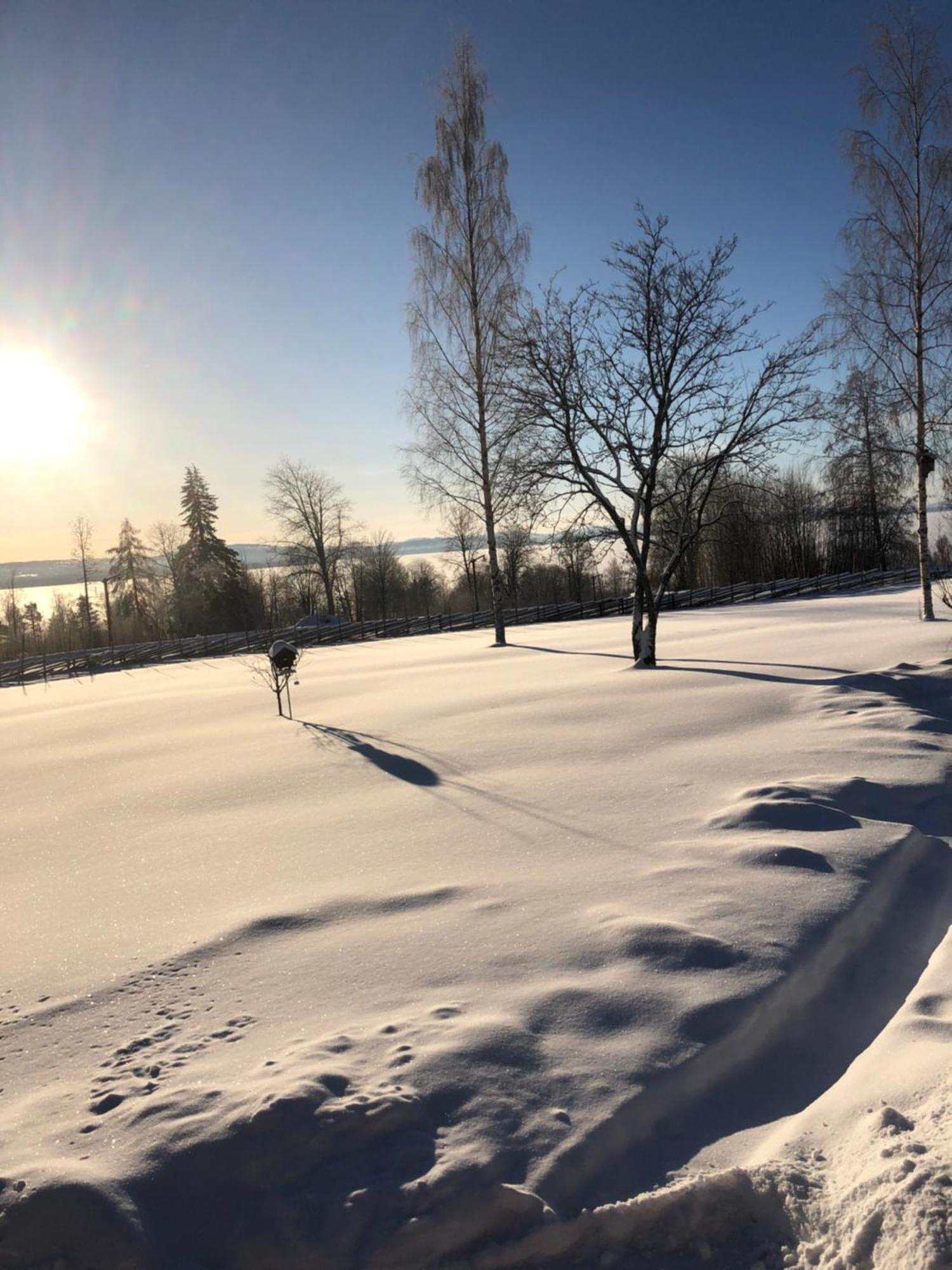 Mysigt Boende I Raettvik Med Utsikt Oever Siljan エクステリア 写真