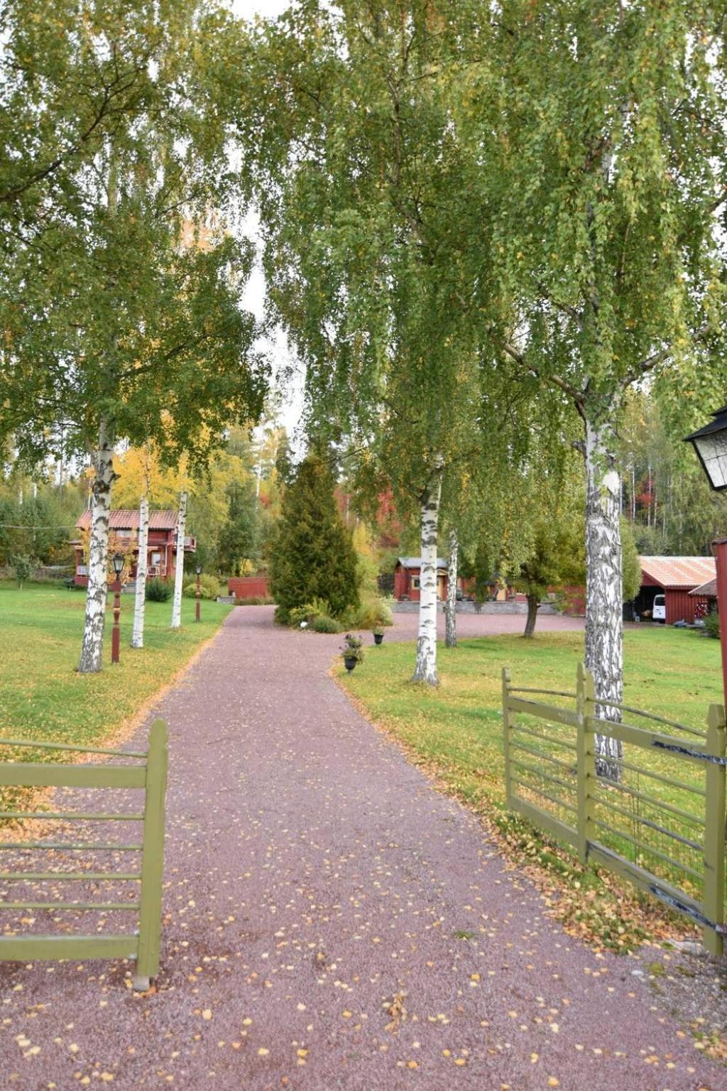 Mysigt Boende I Raettvik Med Utsikt Oever Siljan エクステリア 写真